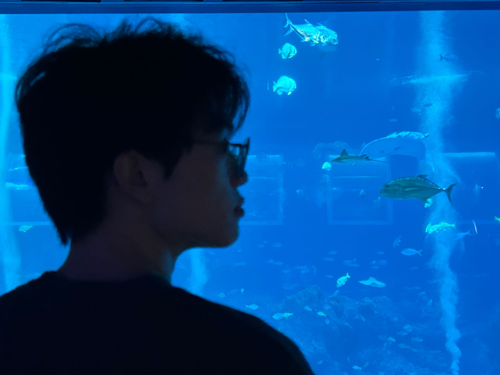 Zichen Liu